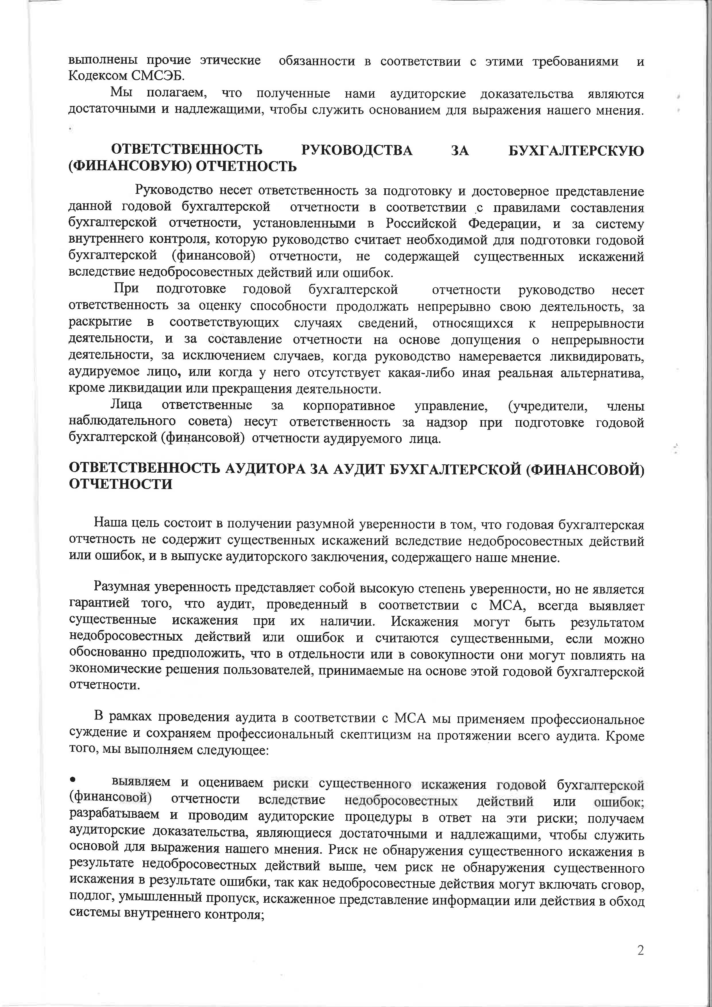 audit_page_Страница_03.jpg
